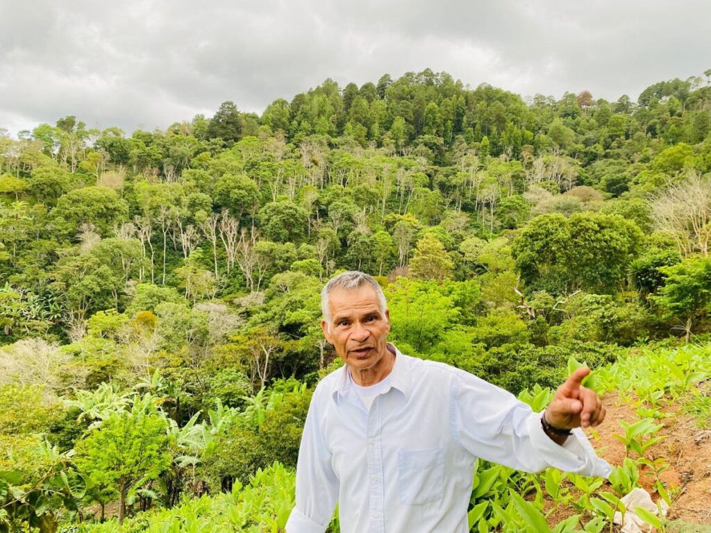Doselva Builds A New Supply Chain For Coffee Farmers In Central America