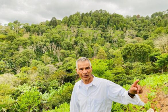 Doselva Builds A New Supply Chain For Coffee Farmers In Central America