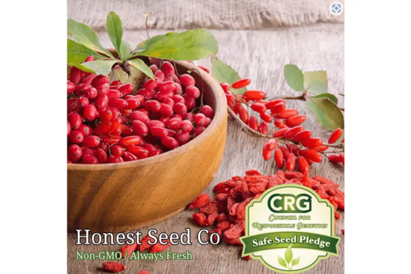 Heirloom Goji Berry Seeds for Planting , Wolfberry , Non-GMO Garden Seeds