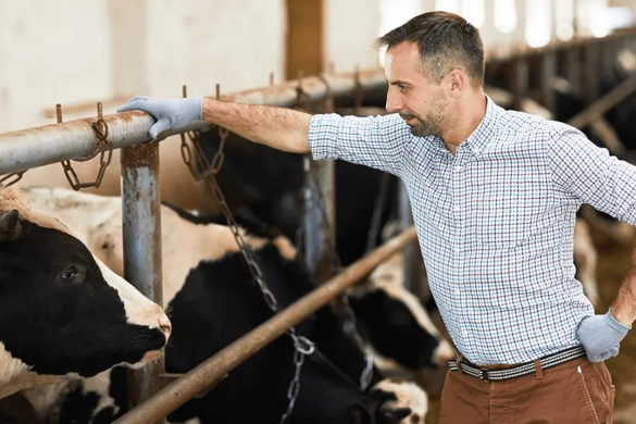 grants for dairy businesses child care centers