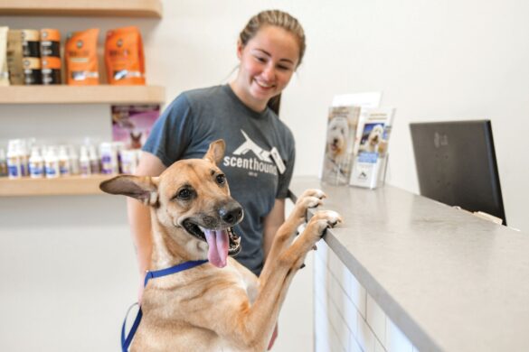Scenthound is a Top New & Emerging Franchise