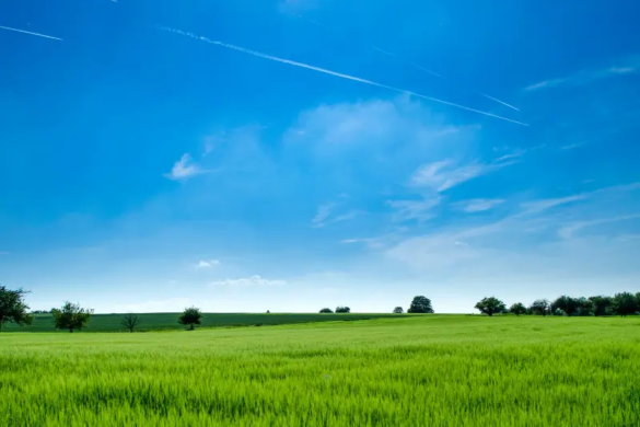 vacant land business ideas