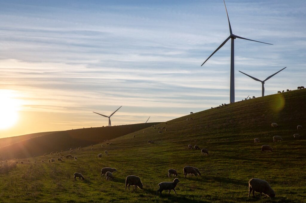 Silicon Valley Billionaires Are Building a City In Northern California