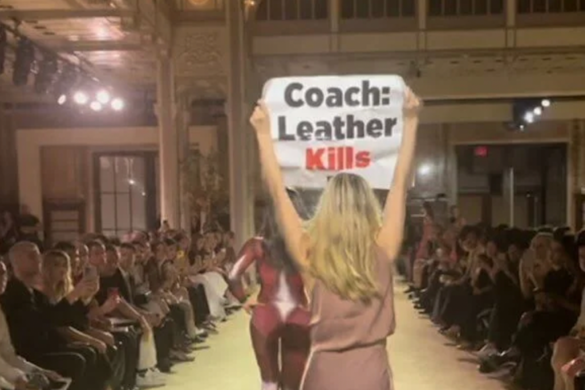 CEO Pied in Face, Yacht Vandalized by Climate, Animal Activists