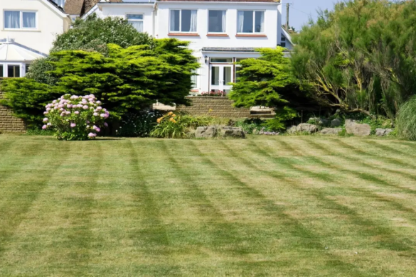 how to start a lawn care business