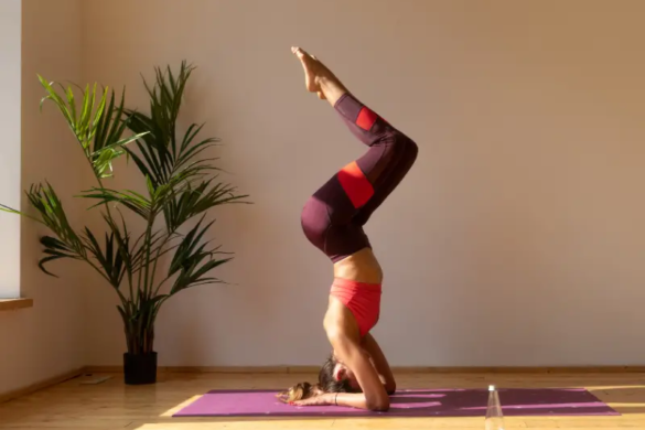fitness business ideas