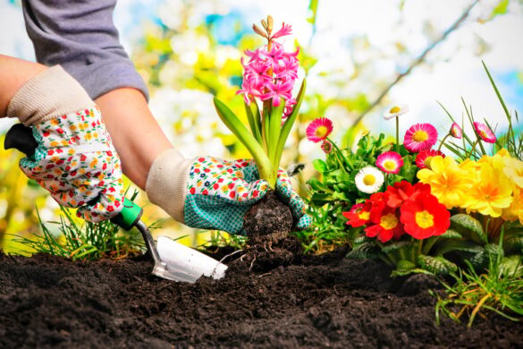 50 Backyard Business Ideas - Gardener