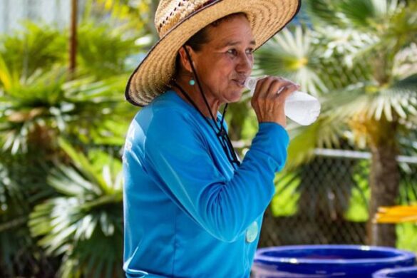 Heat Stress Is More Dangerous Than Ever. How to Protect Your Workers