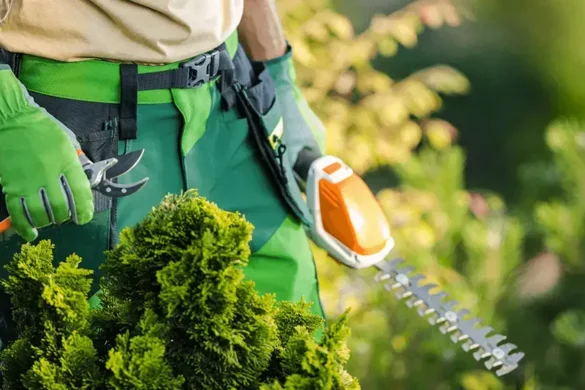 landscaping tools
