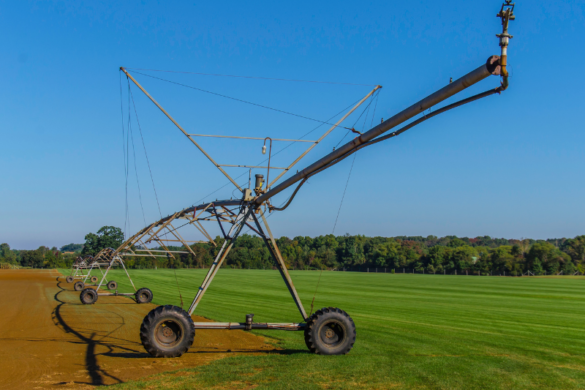 Sod Farming