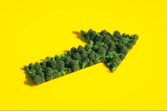 How Businesses Can Actually Make an Environmental Impact