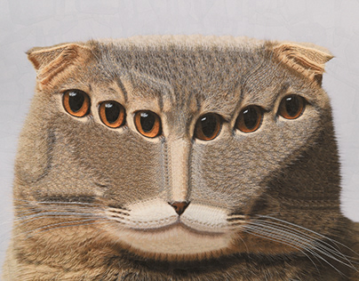 Cats, 2024, 2025