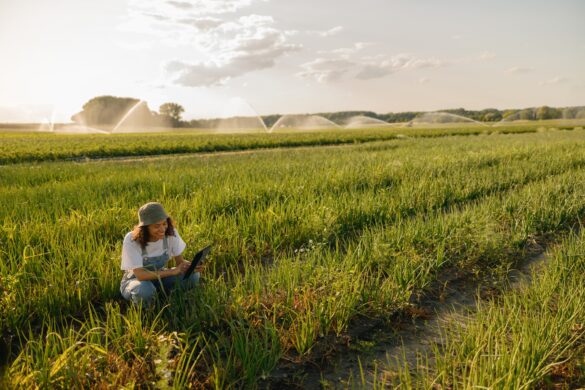 Professional woman farmer with digital tablet works in field. Agricultural business concept