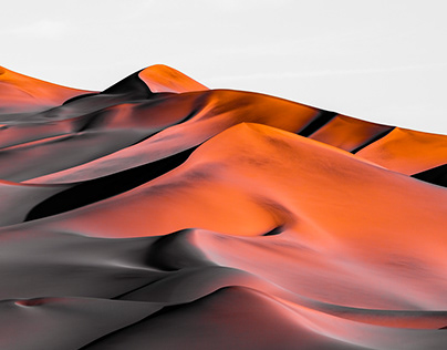 Sand hill III